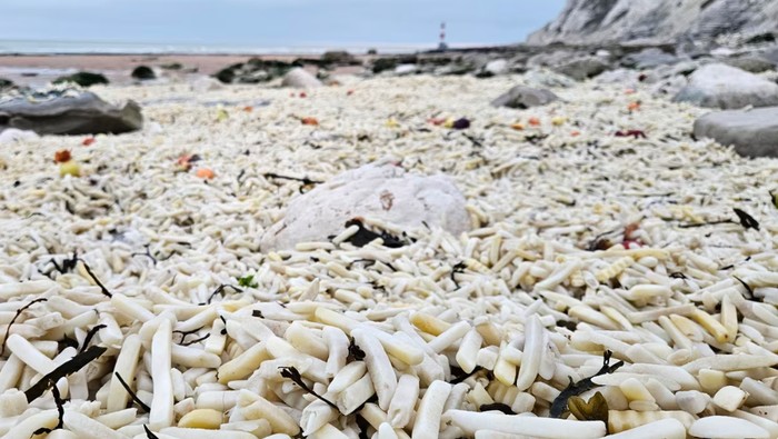Bukan Sulap Bukan Sihir, Ini Pantai yang Menyuguhkan Lautan Kentang Goreng