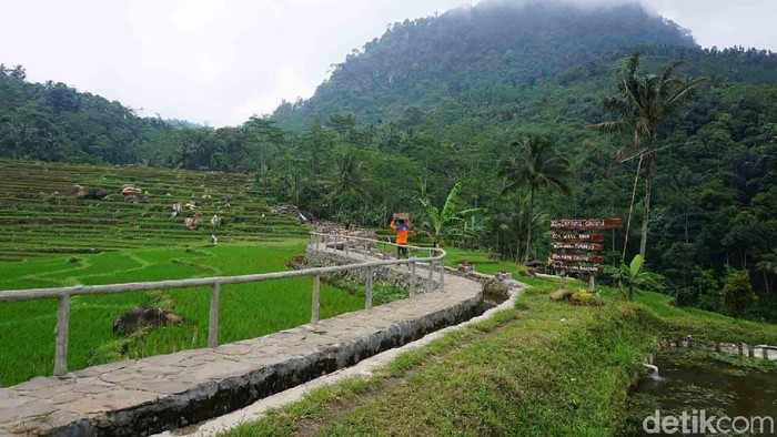 Terpopuler: Fakta-fakta Menarik Desa Wisata Melung - Update 1